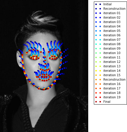 Visualize fitting iterations